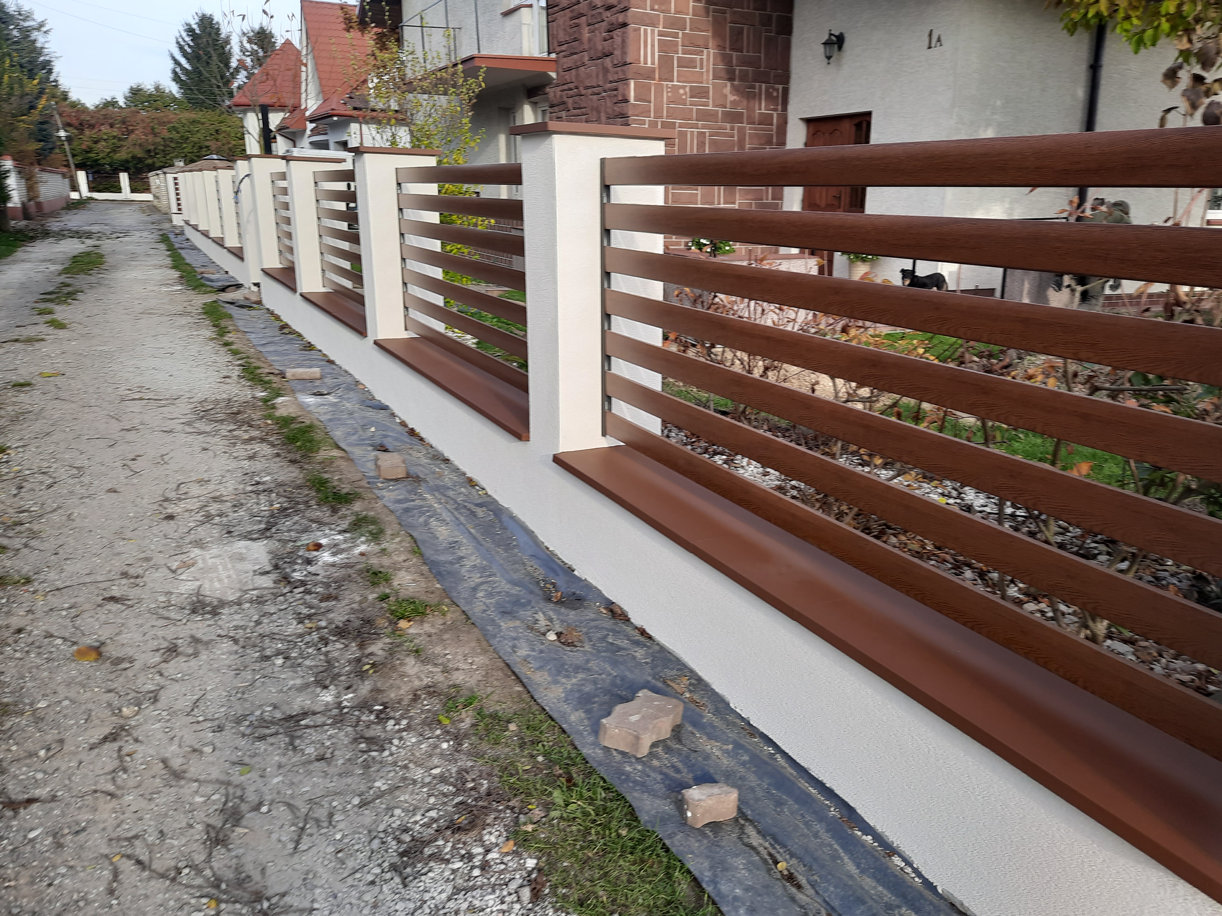 Obraz 34